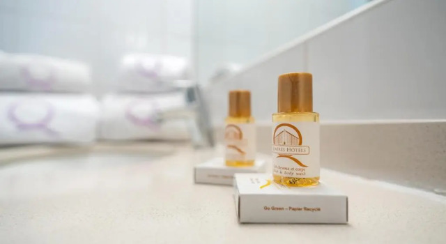 Одноместный номер Standard Hôtel Ours Blanc - Centre