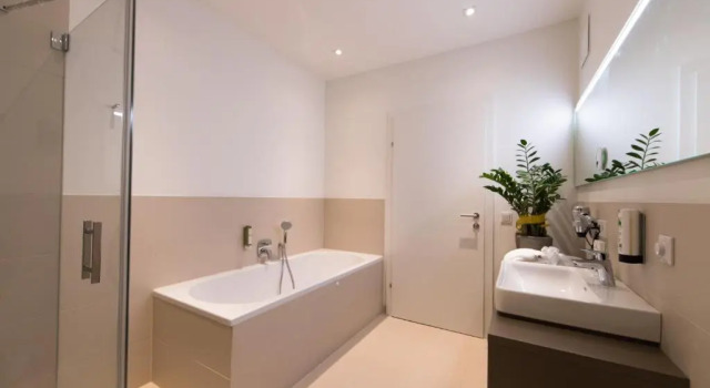 Люкс Vitus Steyr Hotel & SPA Suites