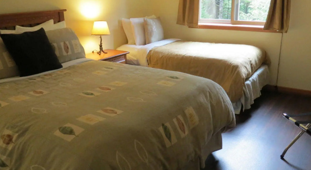 Cobble Wood and Bird Sanctuary Guest Houses, Book Hotel Tofino 
