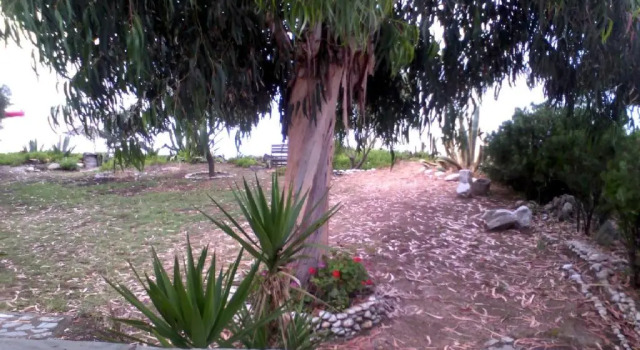 Коттедж Agrelia House