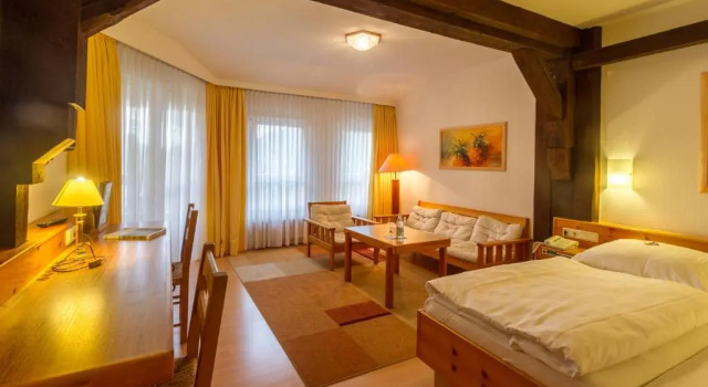 Одноместный номер Comfort Hotel Sauerbrey