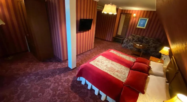 Двухместный номер Standard Hotel Pałac Borynia