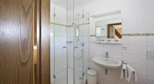 Одноместный номер Standard Taste Style Hotel Bären Auggen
