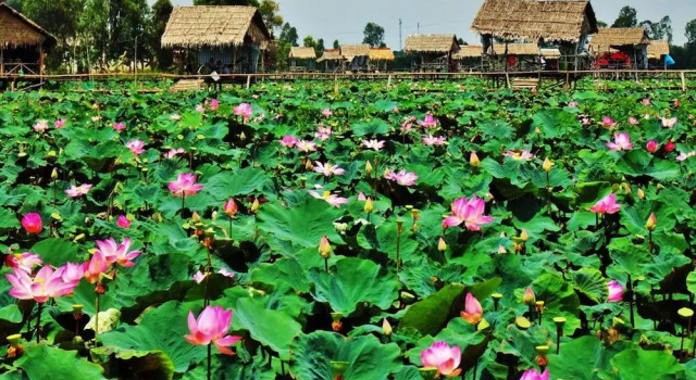 Hai Lua Homestay (Lotus Lake Homestay), Buchen Sie Hotel Hotels in Mekongdelta mit Parkplatz, Parkplätze