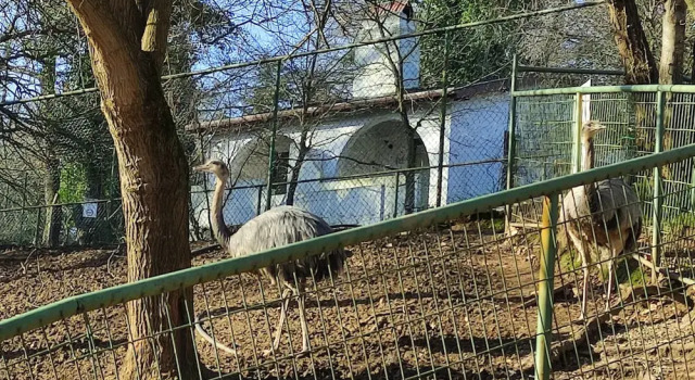 Двухместный номер Standard с балконом Polonezköy Country Club & Accommodation in the Wildlife Park