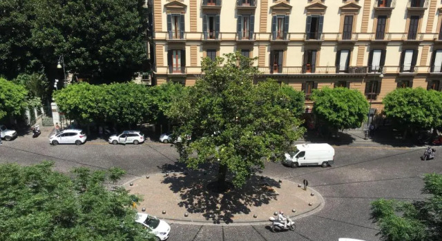 Апартаменты CasAmedeo Guest House