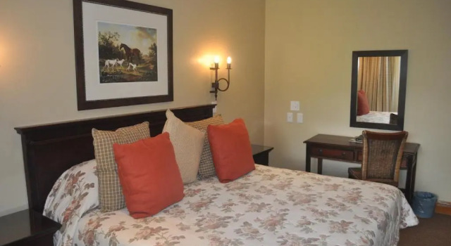 Двухместный номер Standard с видом на сад Champagne Castle Hotel