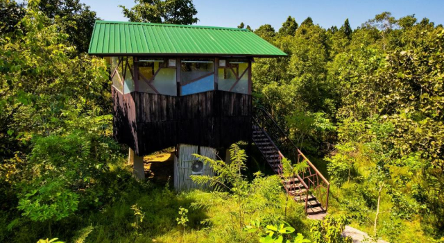 Двухместный номер Deluxe с видом на сад Kanha Jungle Camp