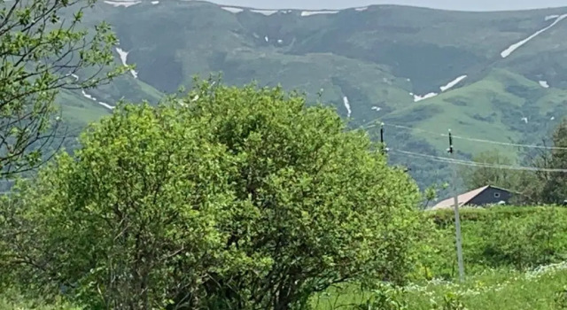 Haystack Bakuriani 27, Prenota Hotel Bakuriani Samckhe Javakheti