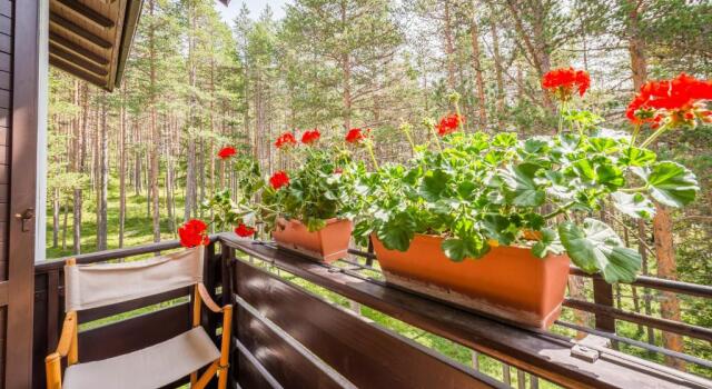 Коттедж c 1 комнатой Residence Alice Nel Paese Dell' Armentarola