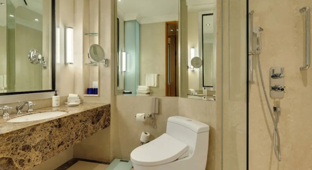 Номер Superior с красивым видом из окна Trident Gurgaon