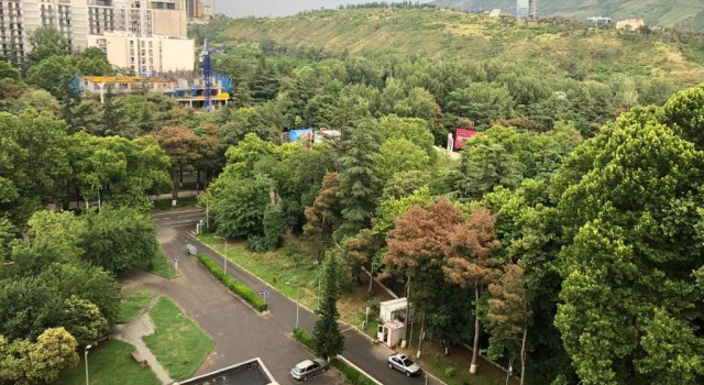 M2 On Tamarashvili Street