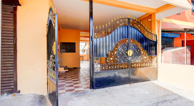 Collection O Auroville Pondicherry