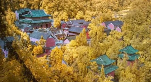 Wudangshan Guobin Hotel, Rezerwuj Hotel Wudangshan Hubei