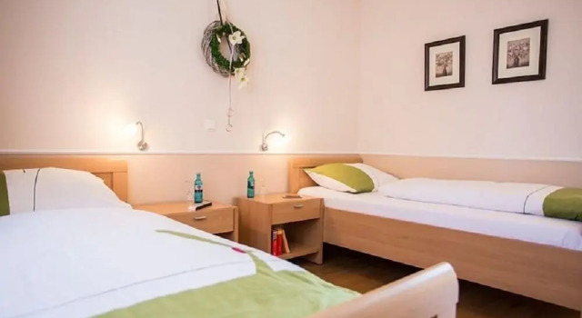 Двухместный номер Standard Hotel Franke