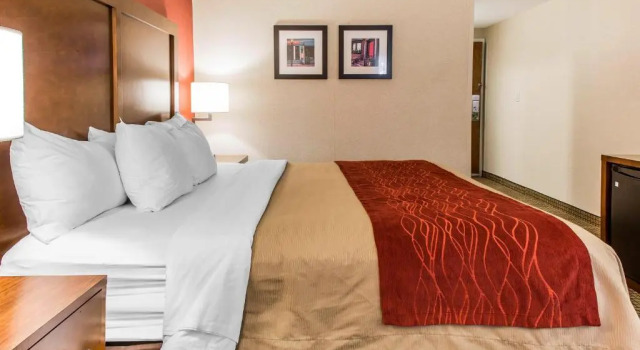 Номер Standard Comfort Inn Boston