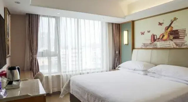 Люкс Vienna Hotel (Jinhua Municipal Government, Wanda Plaza)