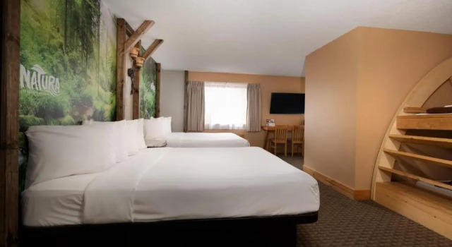 Четырёхместный номер Standard Natura Treescape Resort