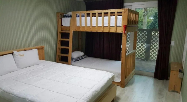 Апартаменты c 1 комнатой Mirvill Pension