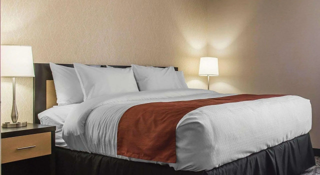 Двухместный номер Standard Quality Inn & Suites Kingston