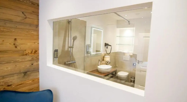 Standard double chambre Schiefer Suite Hotel & Apartments