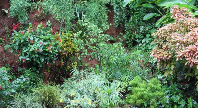 No 44,Anniewatte Road, Забронировать Отель Бизнес-отели Канди, рядом с Bahirawakanda Vihara Buddha Statue, 4* 5*