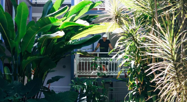 Номер Deluxe Villa Hibiscus sur la plage de Boucan-Canot