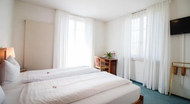 Двухместный номер Standard с видом на озеро Hotel Schloss Romanshorn