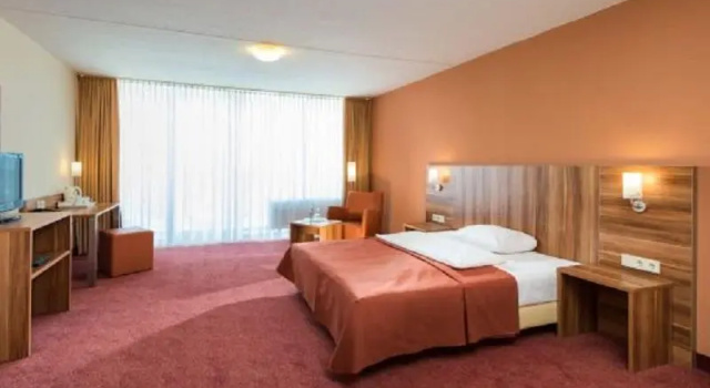 Одноместный номер Standard Best Western Hotel Frankfurt Airport Neu-Isenburg