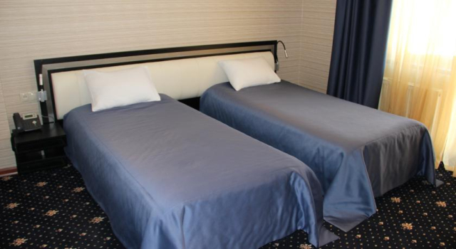 Hotel Villa Palace, Rezerwuj Willa Bakuriani Samckhe Javakheti