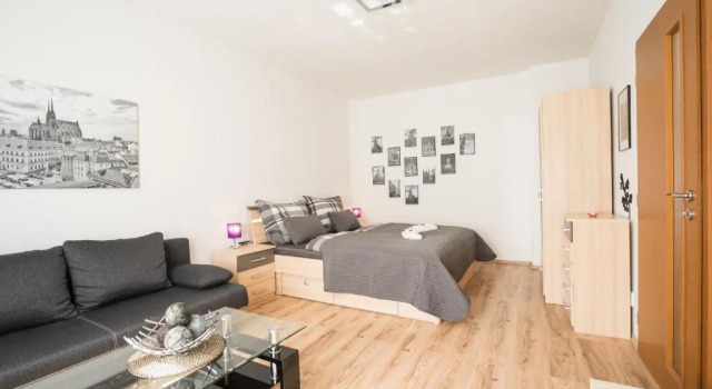 Апартаменты Superior Čajkovskij Apartments