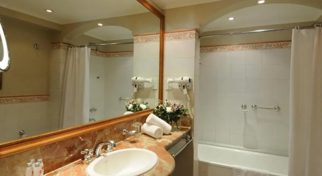 Двухместный номер Standard Windsor Hotel