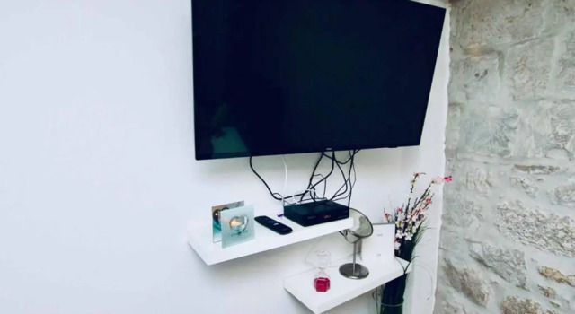 Dalmatian White Shell Apartment