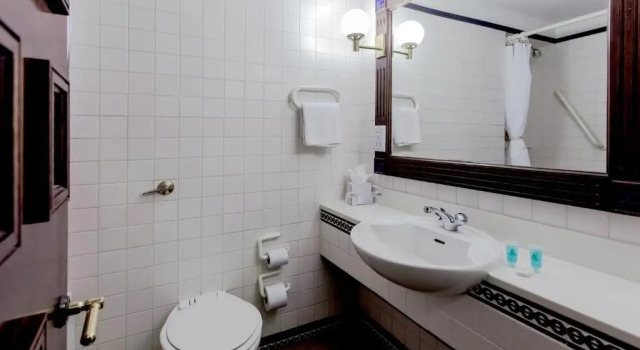 Двухместный номер Standard Lodge Europa Gatwick Hotel