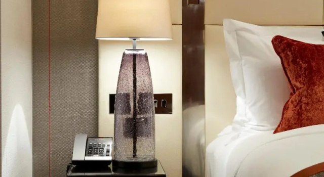 Двухместный номер Standard Hyatt Regency London Albert Embankment
