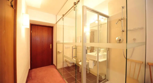 Одноместный номер Standard Hotel Krone
