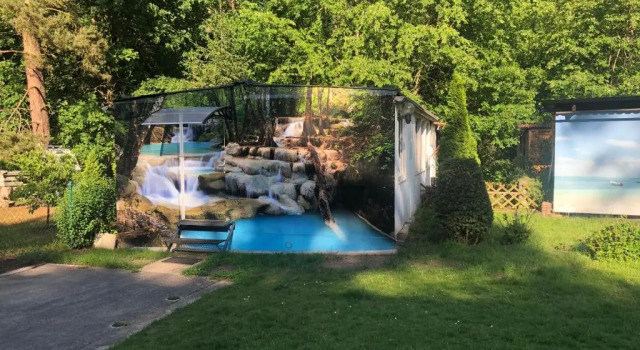 Апартаменты Bungalow am Wald