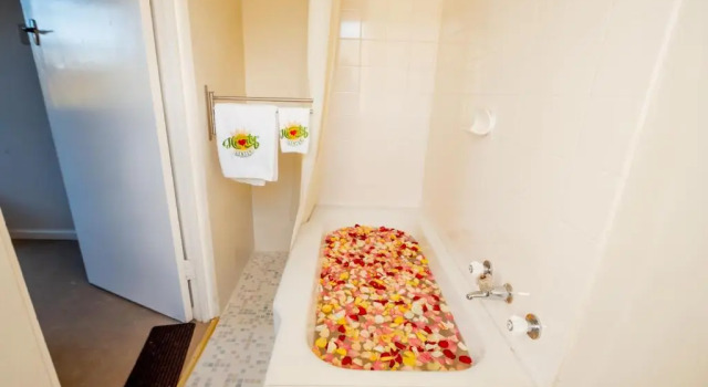Двухместный номер Deluxe Hearty Center Motel