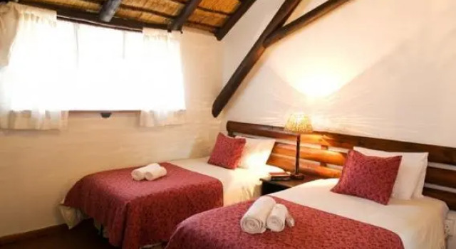 Номер Standard Woodpecker Inn