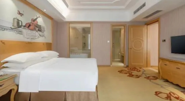 Люкс Vienna Hotel Guangxi Nanjing Nanhu Park