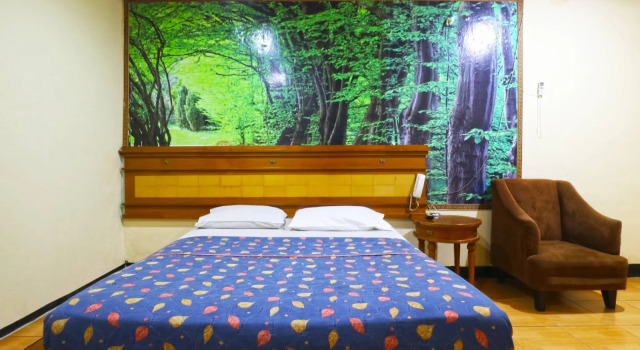 Supérieure chambre King Stone Hotel