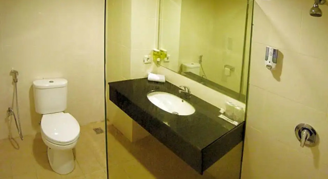Habitación doble Superior Delta Sinar Mayang Hotel