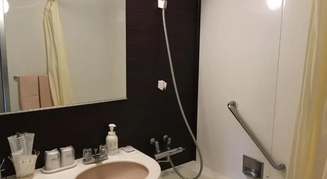 Одноместный номер Hotel Siena