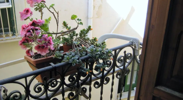 The Lemon Flat, Book Apartment Hotels in Sicily with a Pool, Swimming Pool