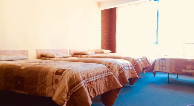 Hostal El Lobo - Hostel