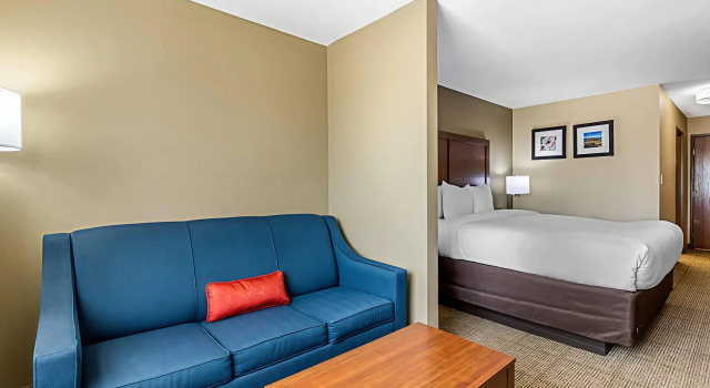 Двухместный люкс Comfort Inn & Suites McComb