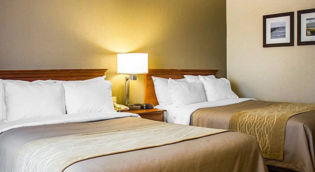 Номер Standard Spark by Hilton Guilford