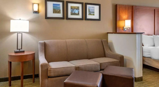 Люкс Comfort Suites Elkhart North