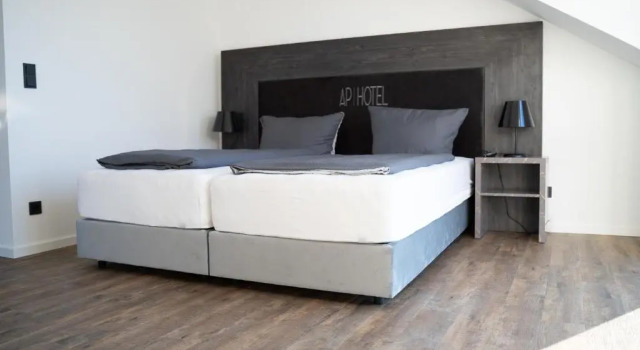 Номер Superior AP Hotel Mannheim Viernheim