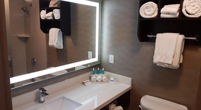 Двухместный номер Standard Holiday Inn Express Hotel & Suites Barrie by IHG